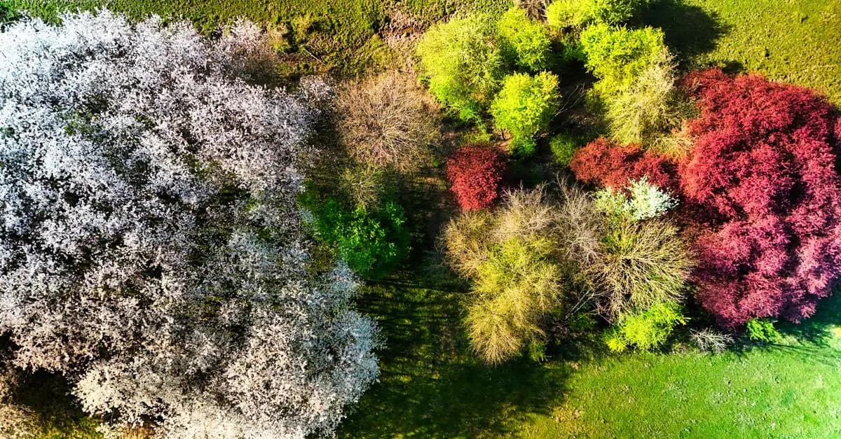 Les sensations aériennes au fil des saisons : un guide complet