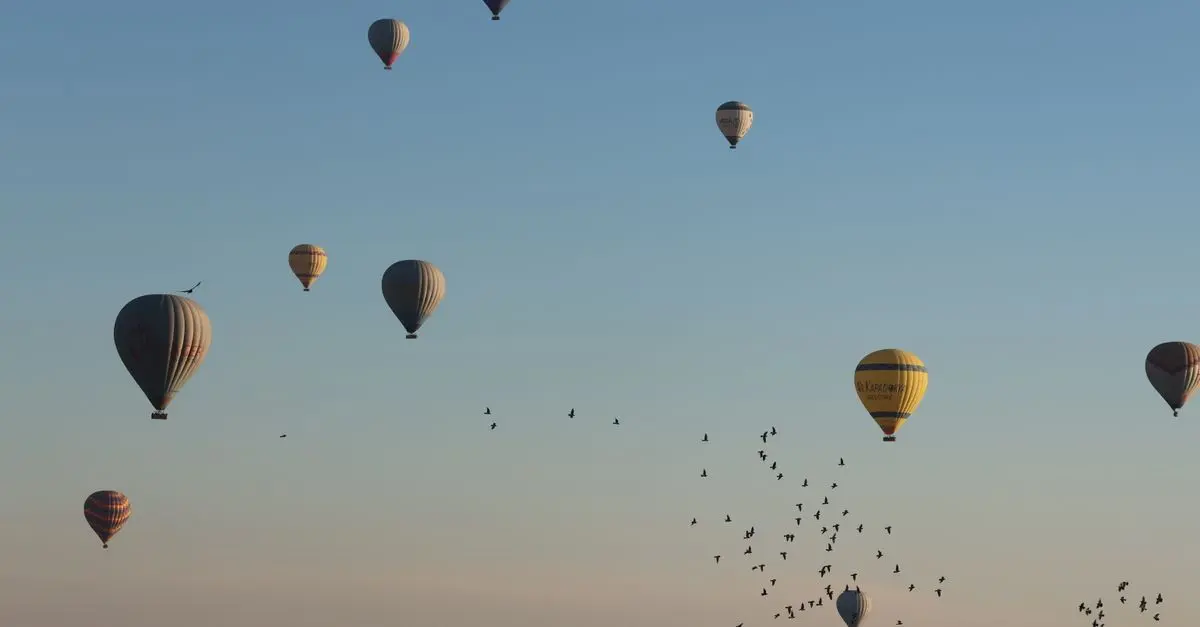 Les émotions à vivre lors d'une expérience aérienne unique