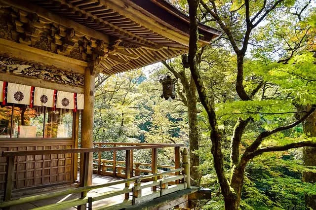 Les meilleures destinations pour ressentir des sensations aériennes