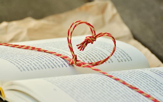 Comment vivre des sensations aériennes inoubliables en toute sécurité